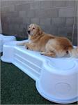 Daycare pic - Banjo